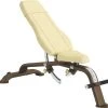 Cybex -10 To 80 Bench Adjustable Bench Strength