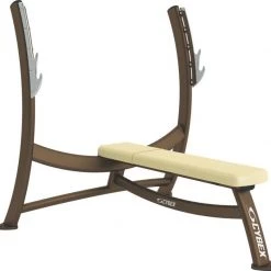 Cybex Olympic Bench Press