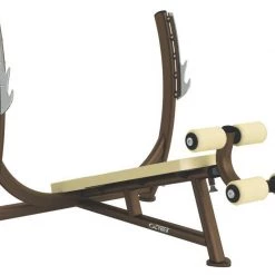 Cybex Olympic Decline Press Strength