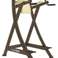 Strength Cybex Leg Raise Chair