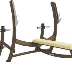 Weight Storage For Cybex Olympic Bench Press