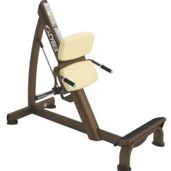 Strength Cybex 60 Degree Calf Station Plate Loaded