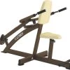 Cybex Triceps Press Plate Loaded