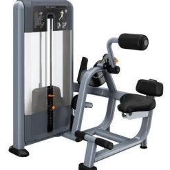 Precor Discovery Series Selectorised Back Extension