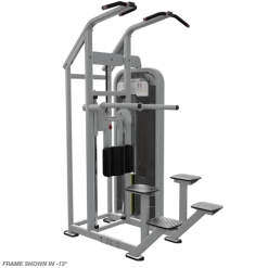 Nautilus Impact Chin Dip Assist