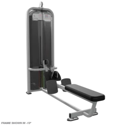 Nautilus Impact Low Row