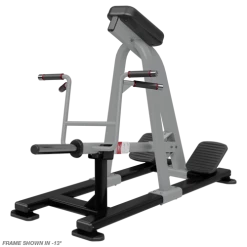 Nautilus Plate Loaded Incline Lever Row