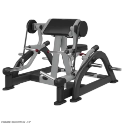 Nautilus Plate Loaded Biceps Curl