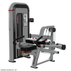 Nautilus Inspiration Tricep Dip