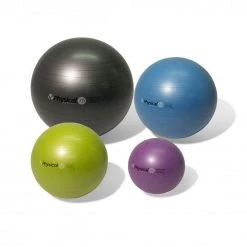 Functional Training Physical Company Stability Ball