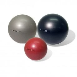 Physical Company Pro Stability Ball
