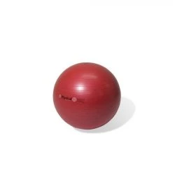 Physical Company Pro Stability Ball