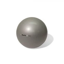 Physical Company Pro Stability Ball