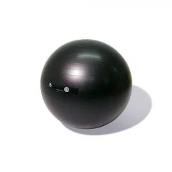 Physical Company Pro Stability Ball