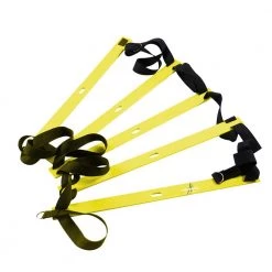 Primal Strength Rebel Commercial Fitness Ladders Studio