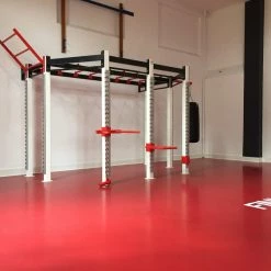 Strength RB Fitness Ascend Rig