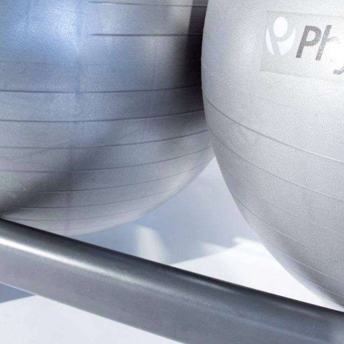 Storage Physical Company 4 Stability Ball Wall Rack (Empty)