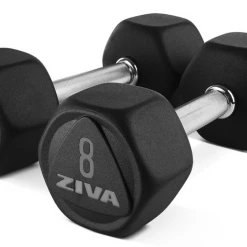 Strength Ziva Sl Premium Hexagon Virgin Rubber Dumbbells