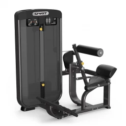 Spirit Fitness Spirit Back Extension