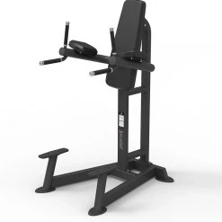 Spirit Fitness Spirit Leg Raise/Dip