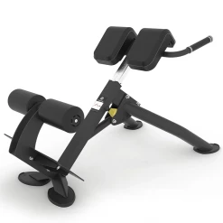 Spirit Fitness Strength Spirit Back Extension Bench