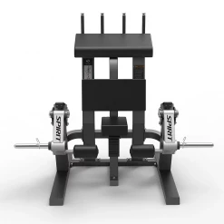 Spirit Fitness Spirit Standing Leg Curl