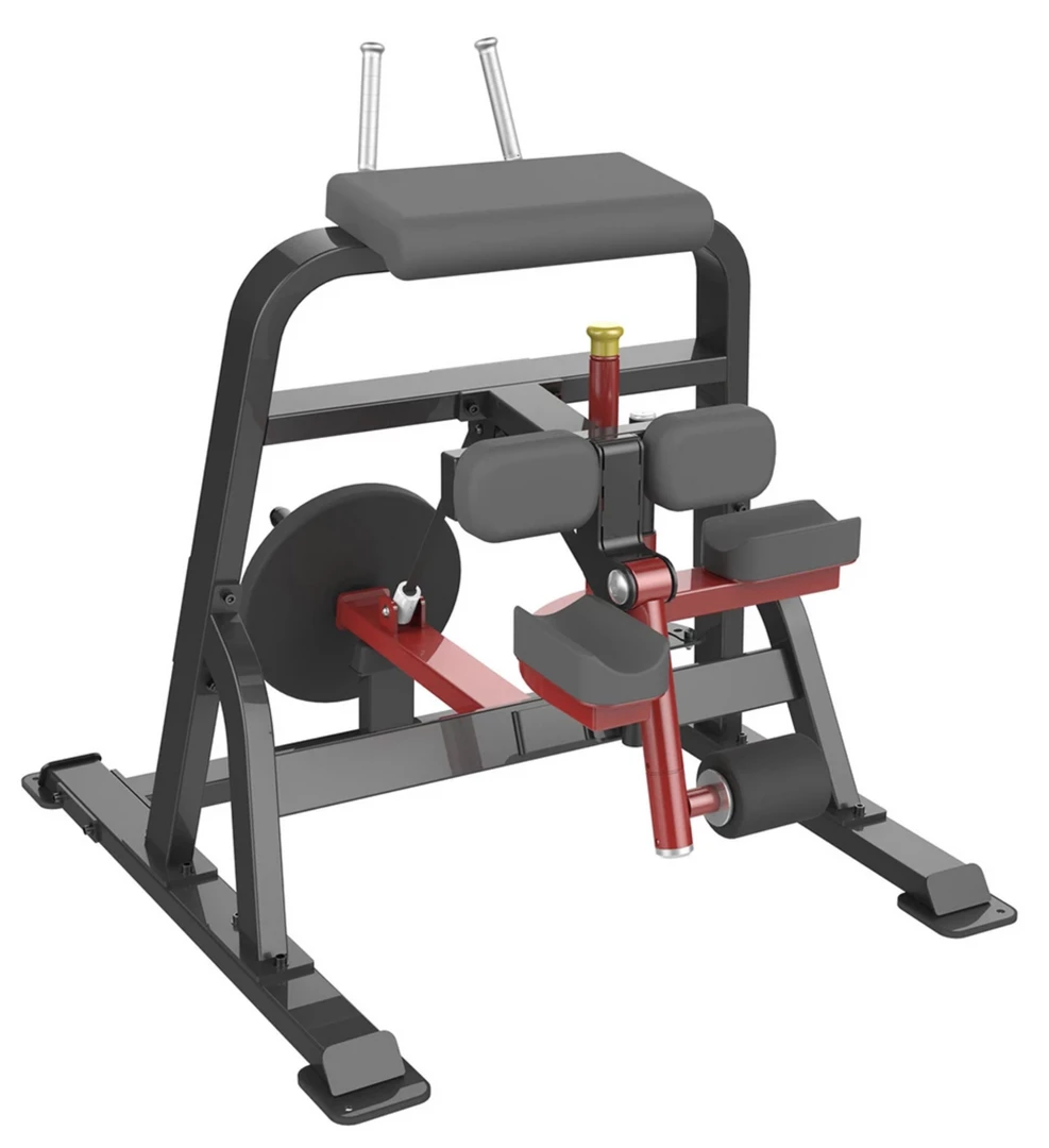 GymGear Standing Leg Curl Strength