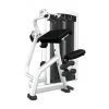 Strength Life Fitness Insignia Series Triceps Extension