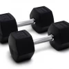 ZIVA XP Hex Rubber Dumbbells (pairs) Strength