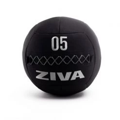 Ziva ZVO Premium Wall Ball Functional Training