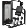 Strength Cybex Ion Abdominal