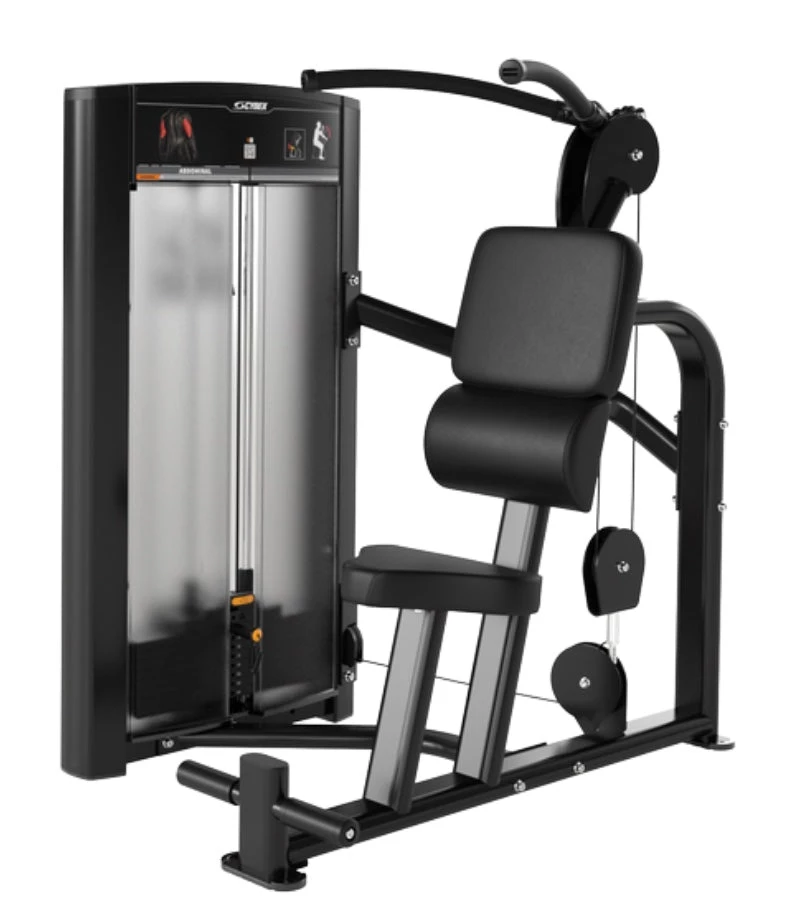 Strength Cybex Ion Abdominal