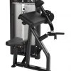 Cybex Ion Biceps Curl Strength
