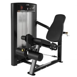 Cybex Ion Leg Extension