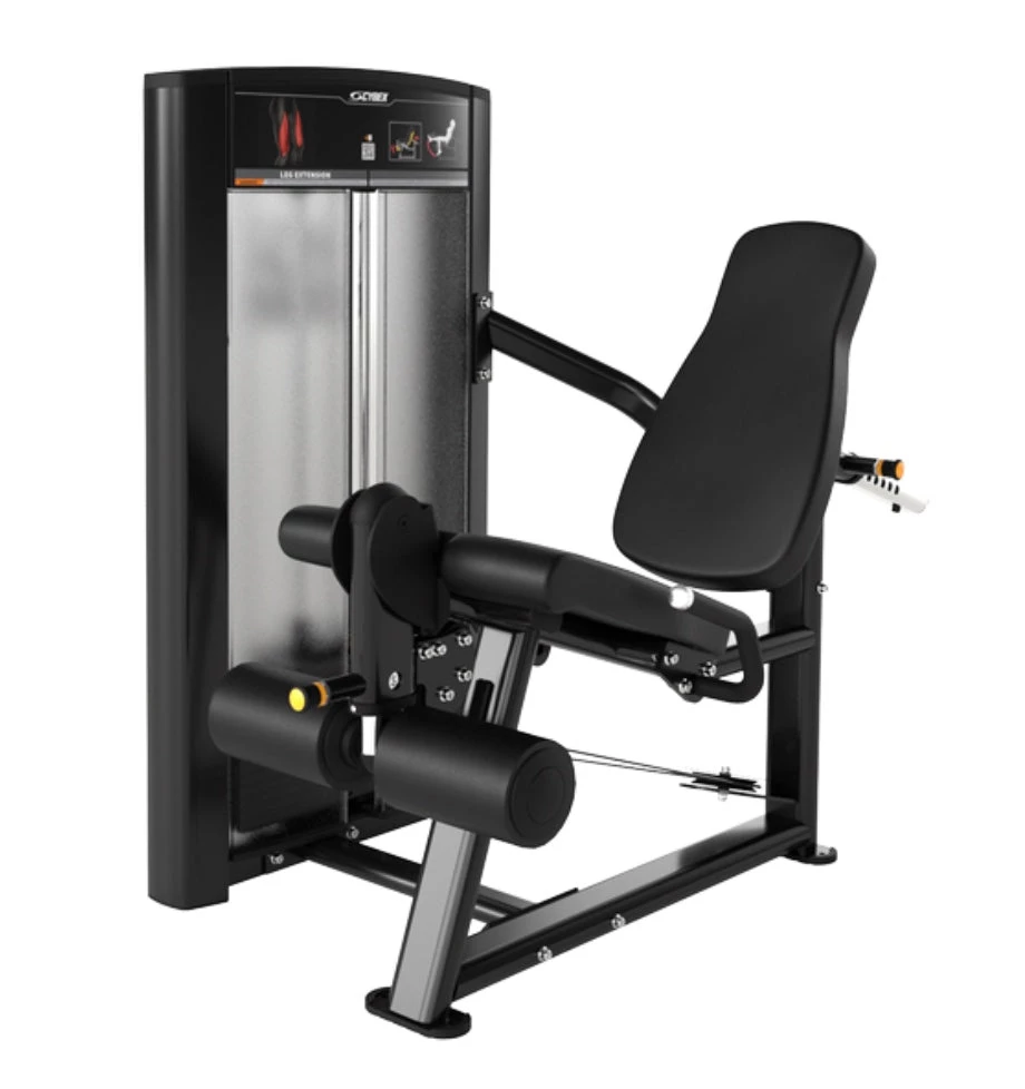 Cybex Ion Leg Extension