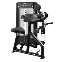 Cybex Ion Biceps Curl/Triceps Extension