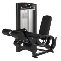 Cybex Ion Leg Curl/Extension Strength