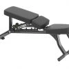 Cybex Ion Adjustable Bench