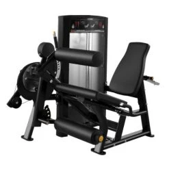 Cybex Ion Seated Leg Curl Extension