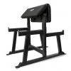 Primal Strength Standing Dual Scott & Preacher Curl