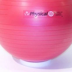 Physical Company Stability Ball Stacker Ring