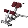 Life Fitness Signature Series Back Extension Strength