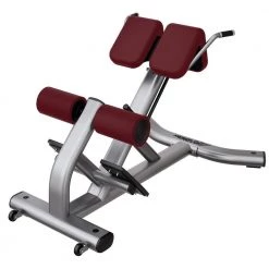 Life Fitness Signature Series Back Extension Strength