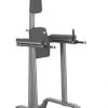 Strength GymGear Elite Series Chin Dip And Knee Raise Frame