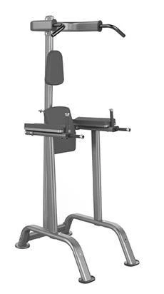 Strength GymGear Elite Series Chin Dip And Knee Raise Frame