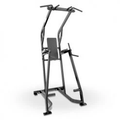Strength Life Fitness Signature Series Chin/Dip/Leg Raise