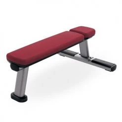Strength Life Fitness Signature Series Flat Bench
