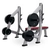 Life Fitness Signature Series Olympic Bench Weight Storage (Storage Only)