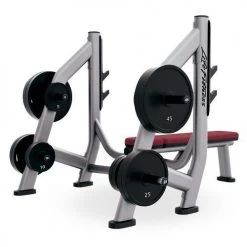 Life Fitness Signature Series Olympic Bench Weight Storage (Storage Only)