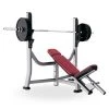 Strength Life Fitness Signature Series Olympic Incline Bench